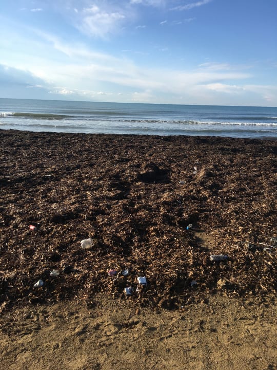 Strand Side Alegria Hotel & Spa - Adults only +16