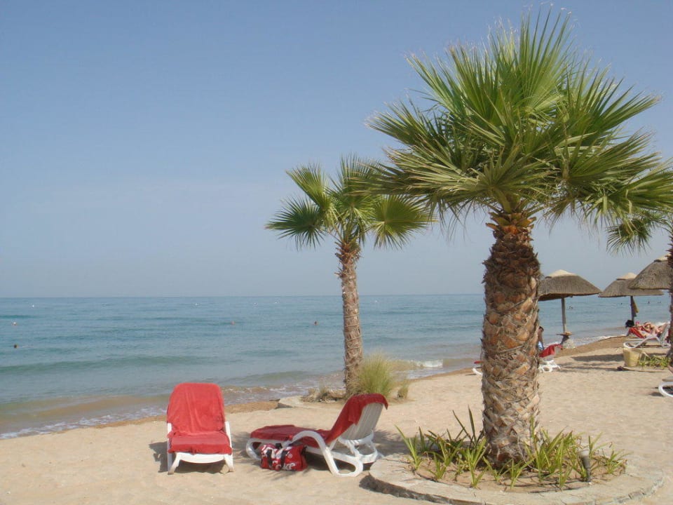 Der Strand  The Cove Rotana Resort