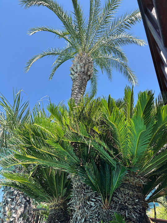 Gartenanlage Sunis Kumköy Beach Resort Hotel & Spa