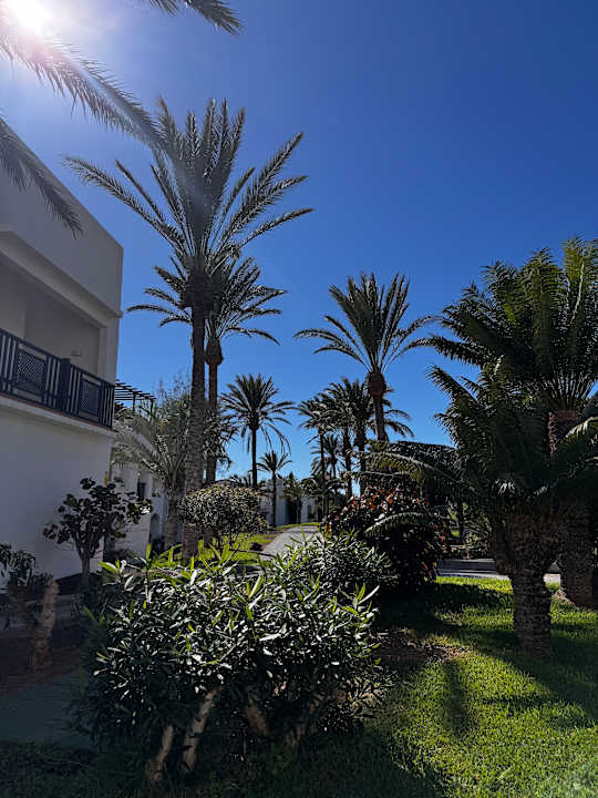 Gartenanlage TUI MAGIC LIFE Fuerteventura