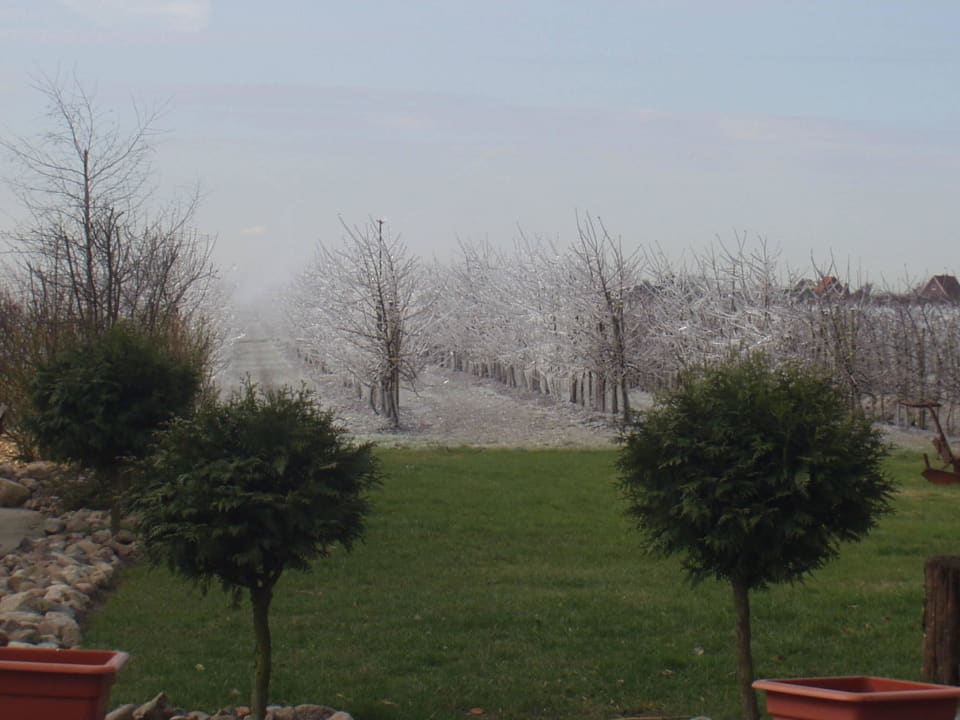 Naturwunder? Ferienwohnung Ferien in der Apfelscheune