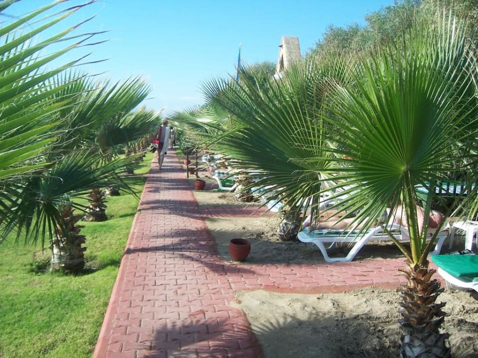 Weg zum Strand Hotel Delphin Palace