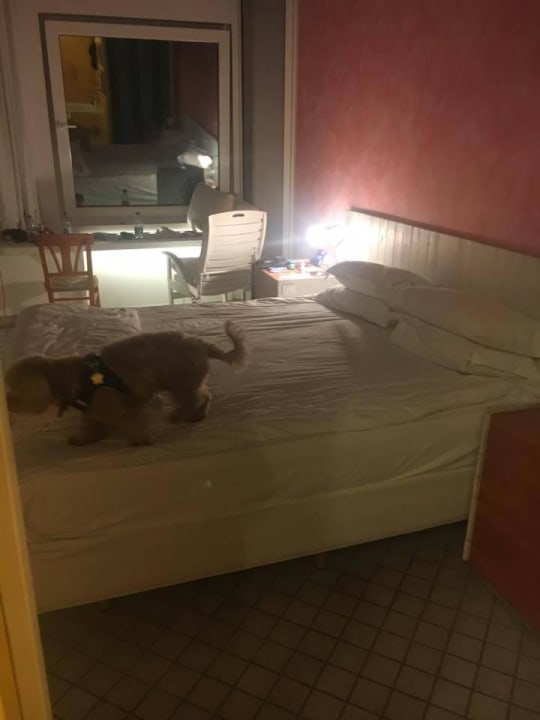 Bett The Marmara Antalya Hotel