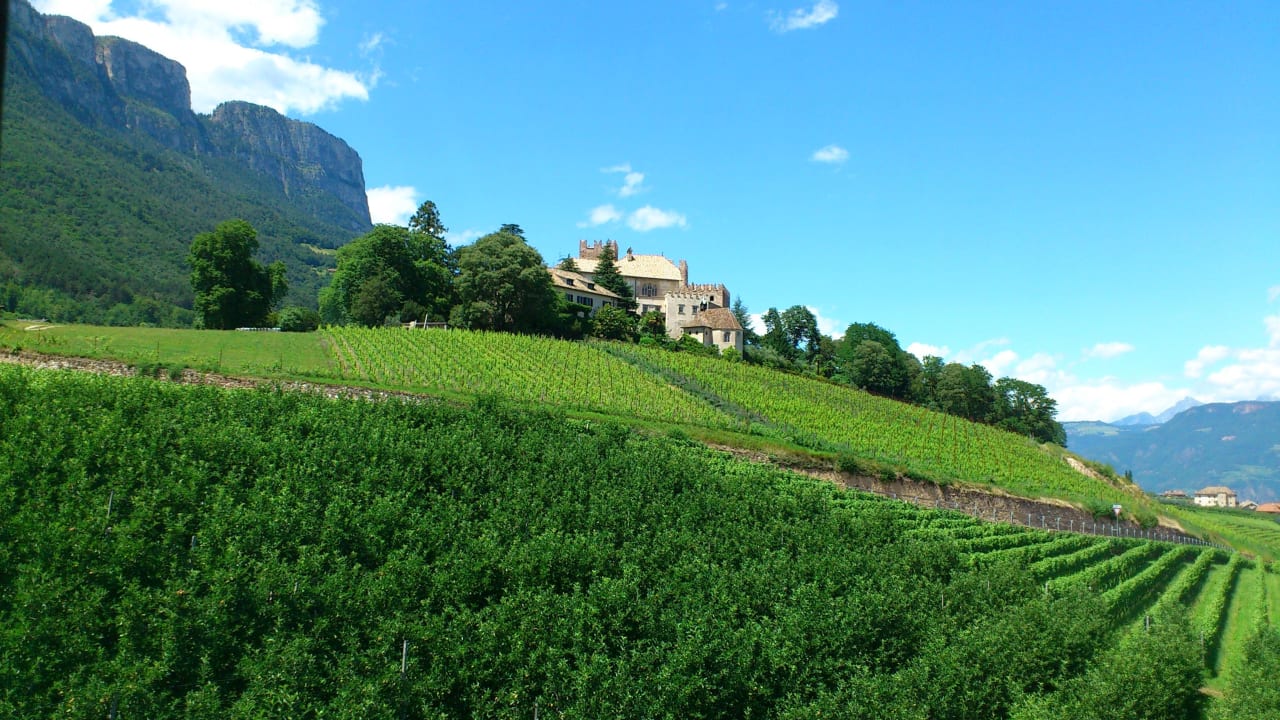 Ausblick Landgasthof Bad Turmbach