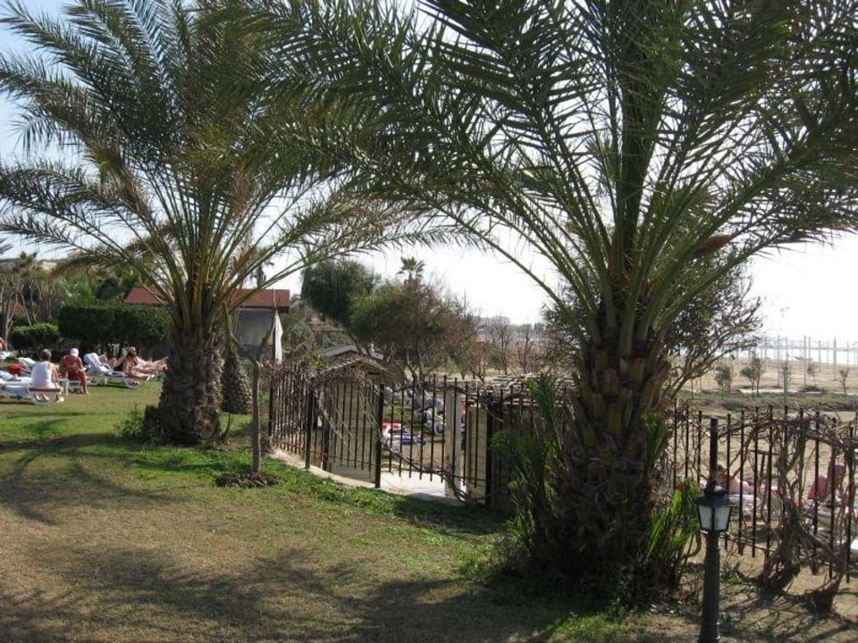 Terrace Hotel Terrace Beach Resort