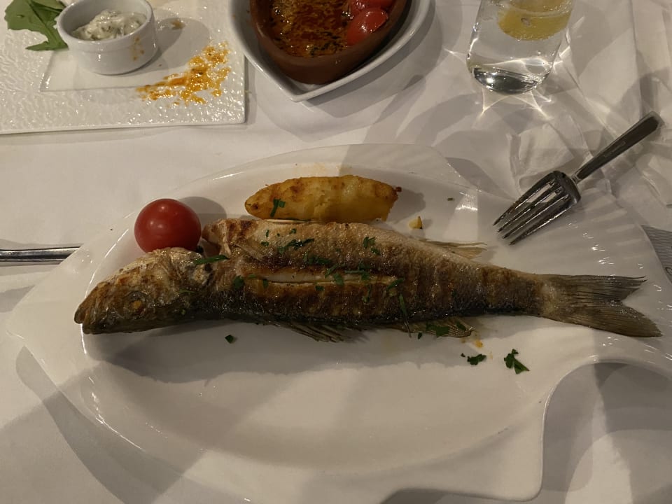 Gastro Xanadu Resort Hotel