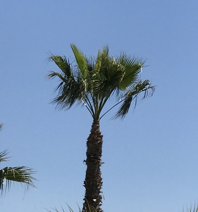 Sonstiges Solivia Hotel