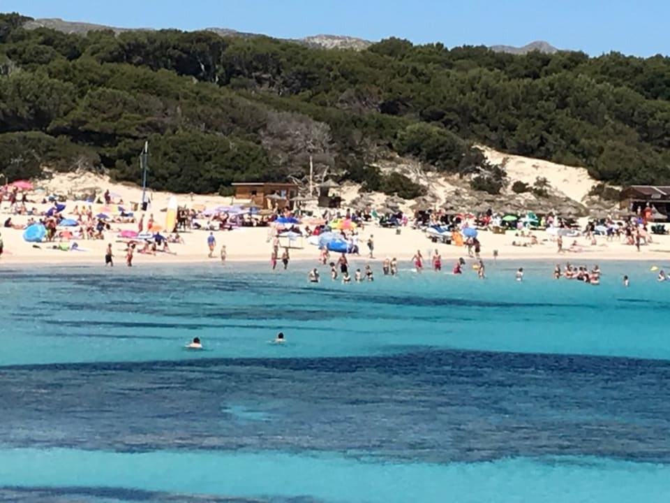 Strand HSM Regana - Adults Only