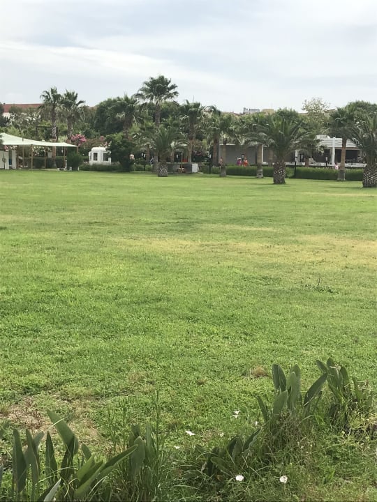 Ausblick Asteria Family Resort Side