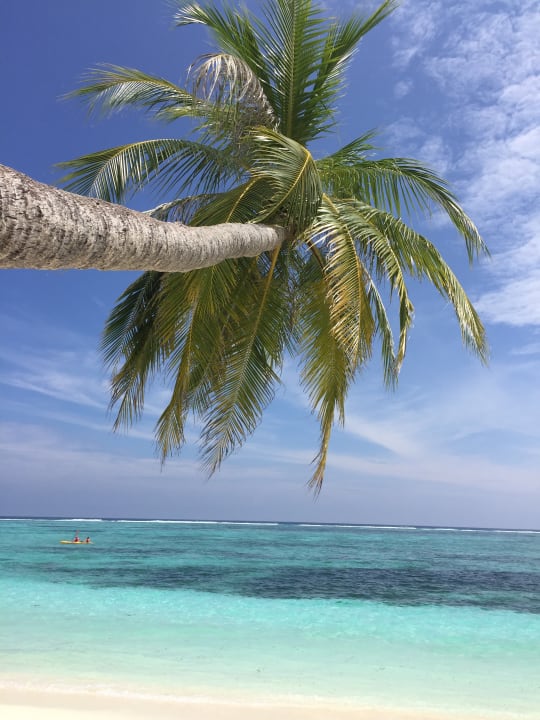 Strand Meeru Maldives Resort Island