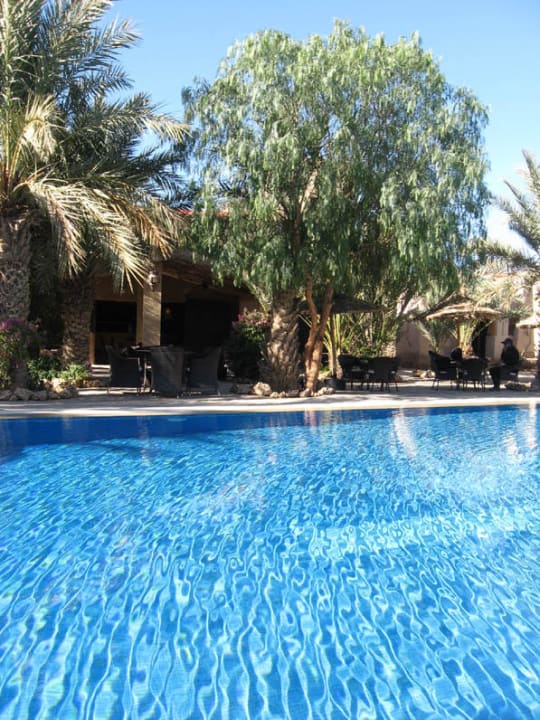 Pool Kasbah Hotel Xaluca Arfoud