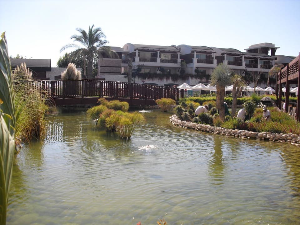 Schön  Sunis Kumköy Beach Resort Hotel & Spa