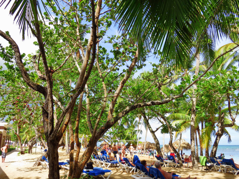 Strand Bahia Principe Grand El Portillo