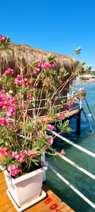 Strand Selectum Luxury Resort Belek