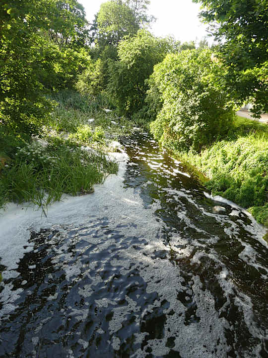 Gartenanlage Vihula Manor Country Club and Spa