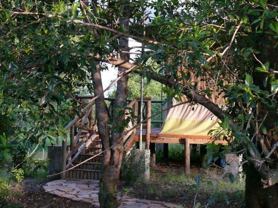 Weg zum Zelt Mara Leisure Camp