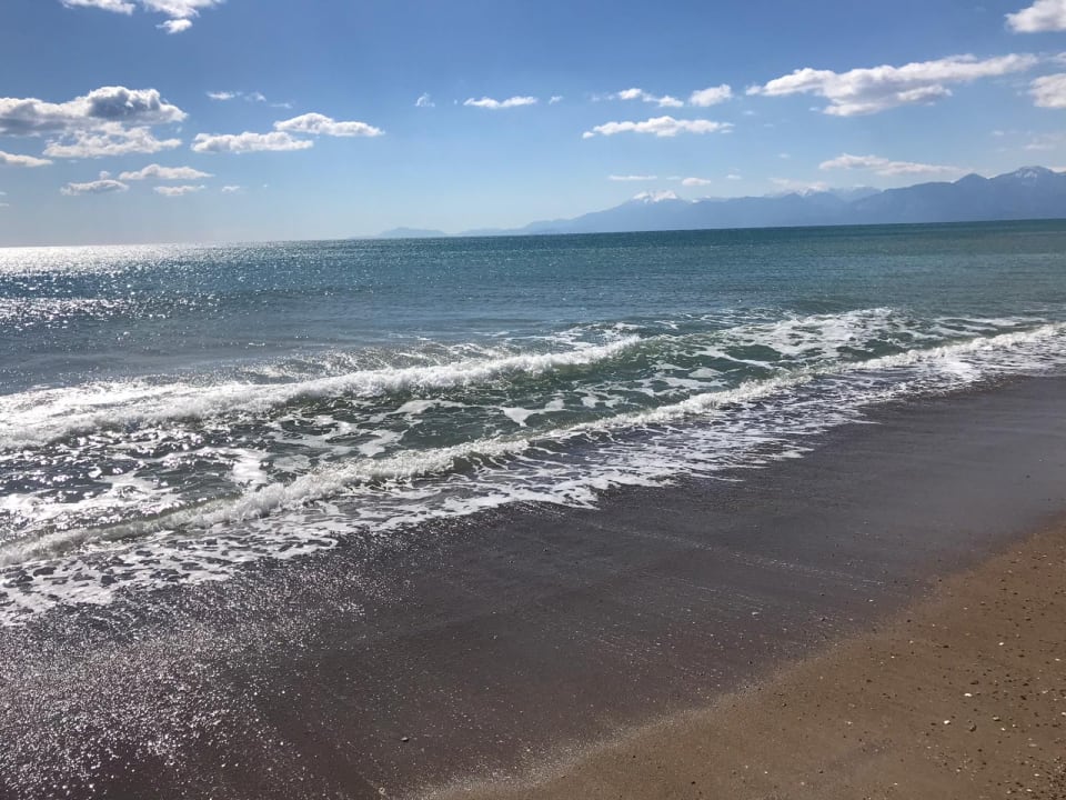 Strand Lara Barut Collection