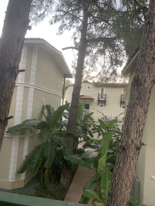 Ausblick Crystal Flora Pearl Collection