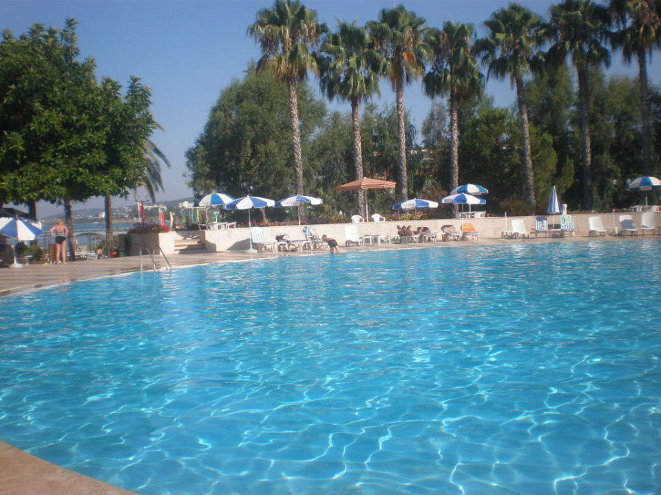 Poolanlage Top Hotel