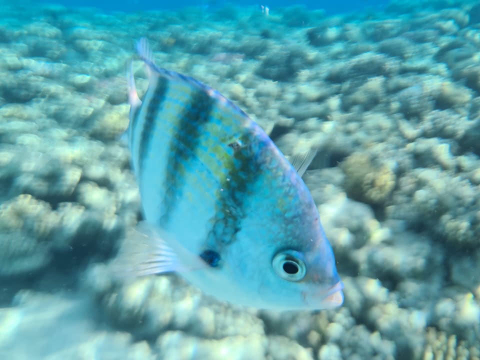 Sport & Freizeit Grand Waterworld Makadi