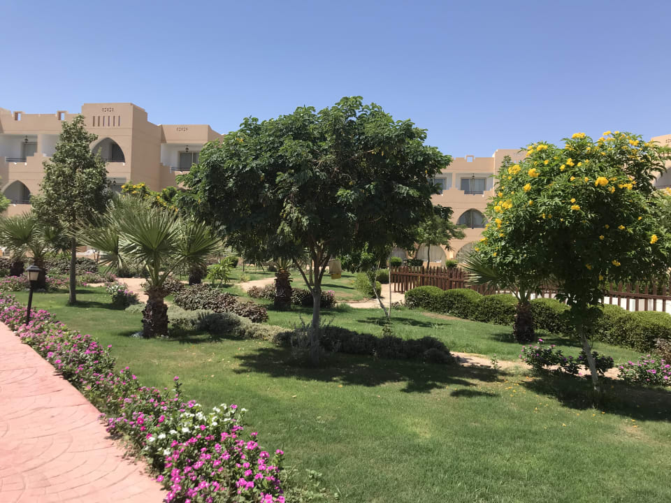 Gartenanlage Three Corners Equinox Beach Resort