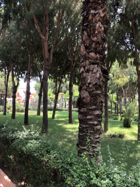 Gartenanlage Club Turtas Beach Hotel