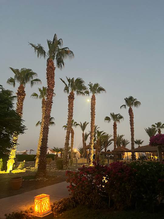 Zimmer Lotus Bay Beach Resort