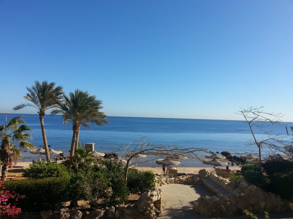 Blick auf´s Meer Pickalbatros Citadel Resort