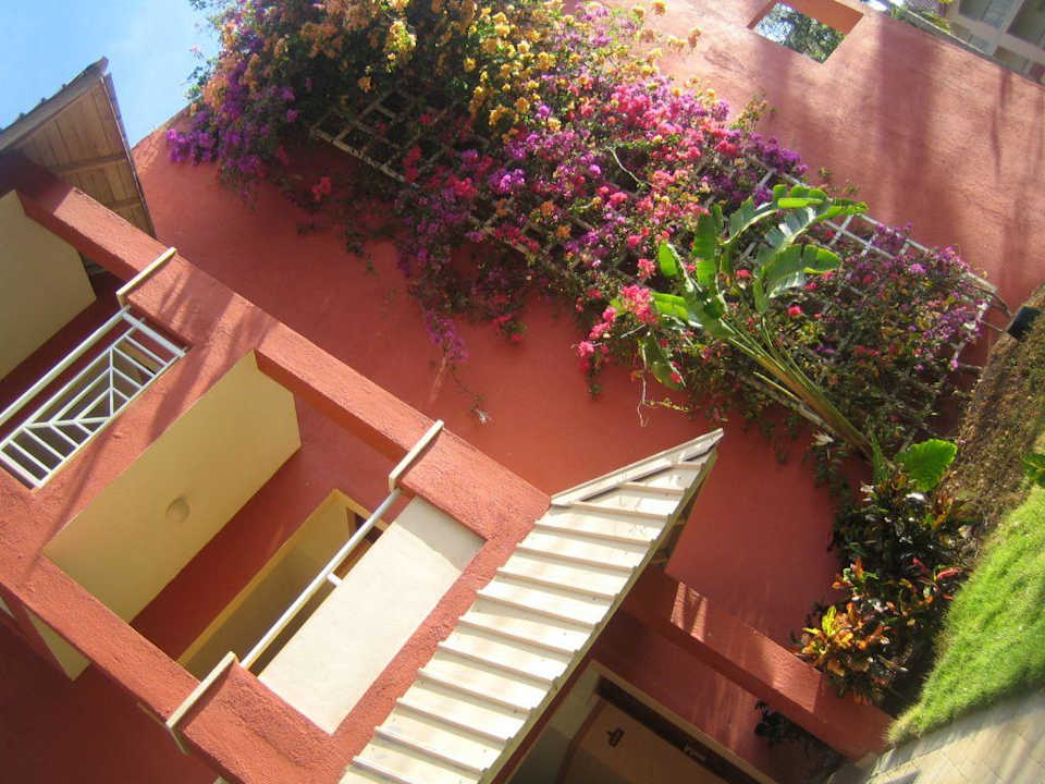 Unser Haus... Royalton Splash Punta Cana