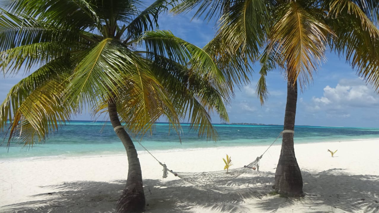 Hängematte Kuredu Island Resort & Spa