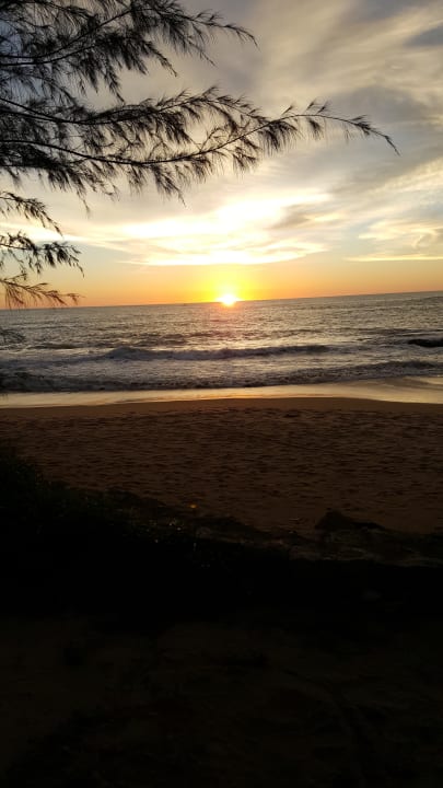 Ausblick Moracea by Khao Lak Resort