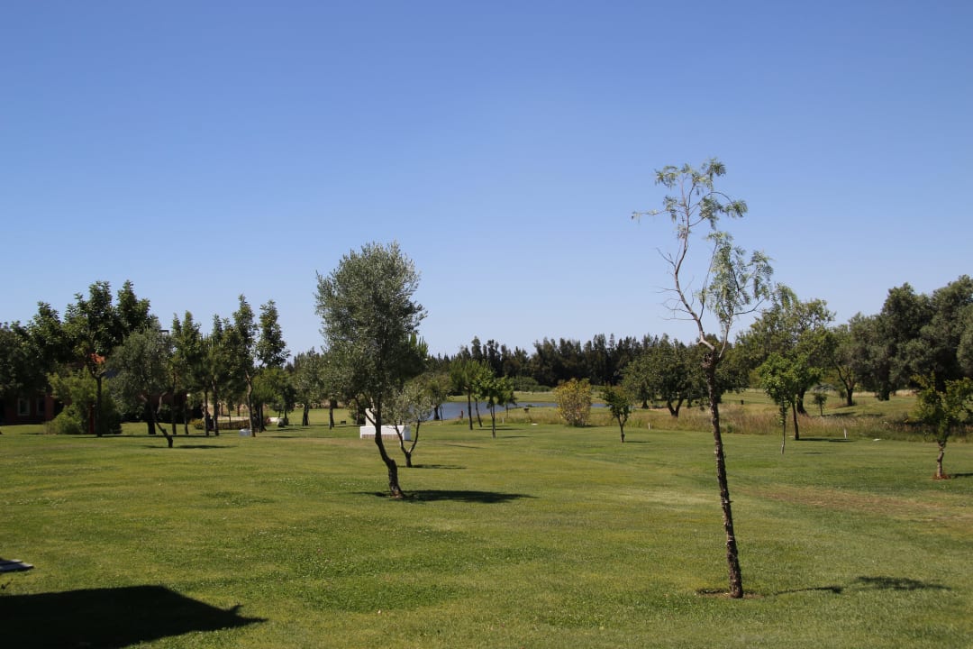 Blick von der Terrasse in den Garten ROBINSON QUINTA DA RIA