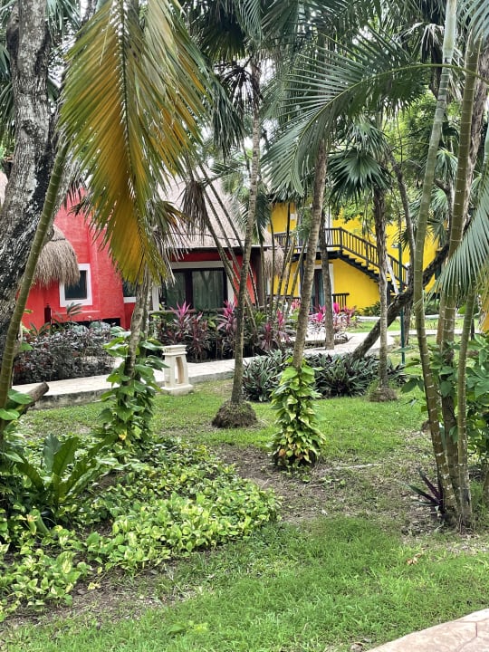 Zimmer Iberostar Waves Cozumel