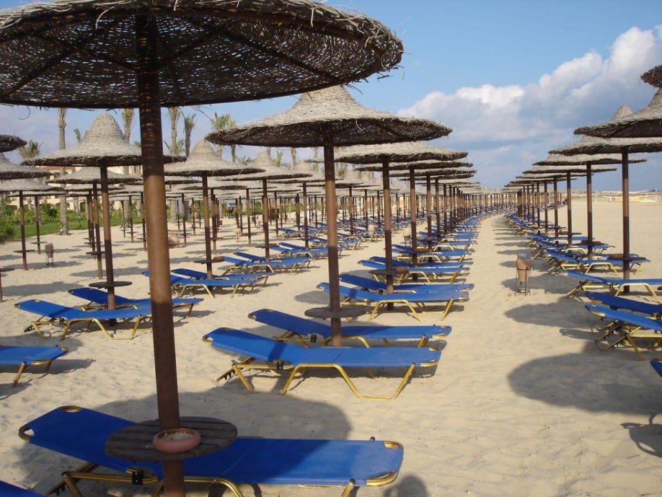 Strand am Morgen Jaz Almaza Beach Resort, Almaza Bay