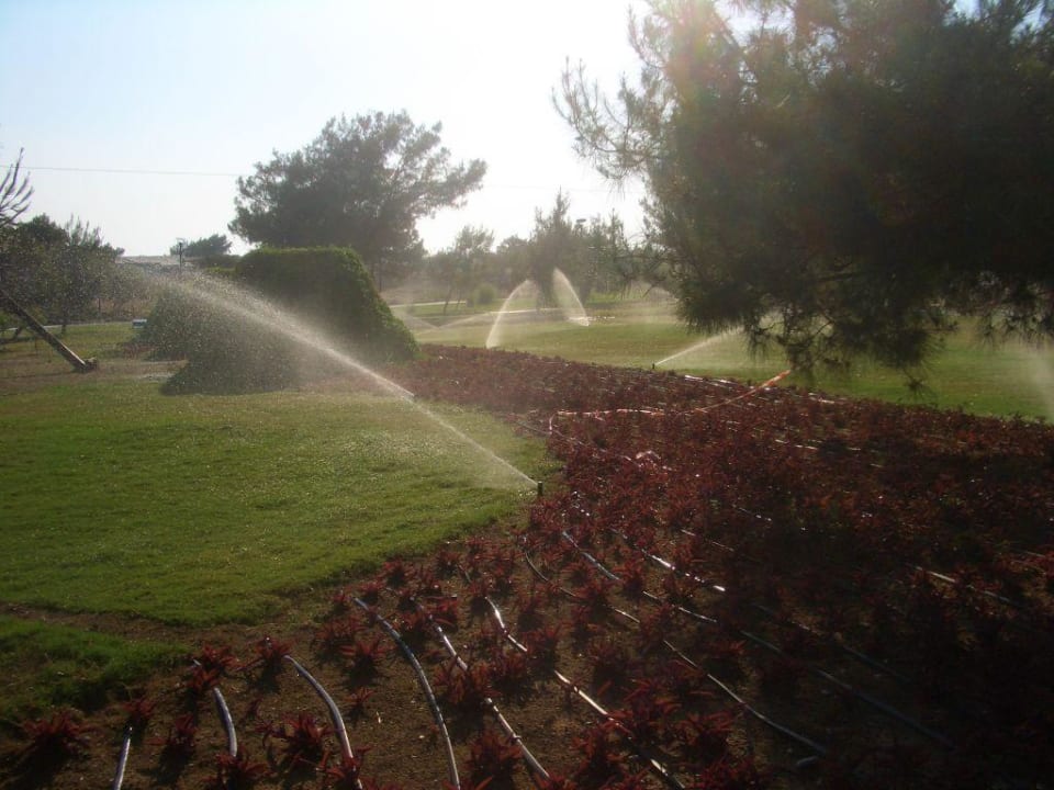Hotel Aussenbereich Garten Lykia World Antalya