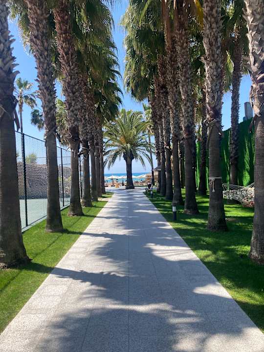 Gartenanlage Miramare Queen Hotel