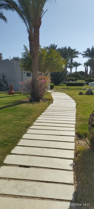 Gartenanlage Desert Rose