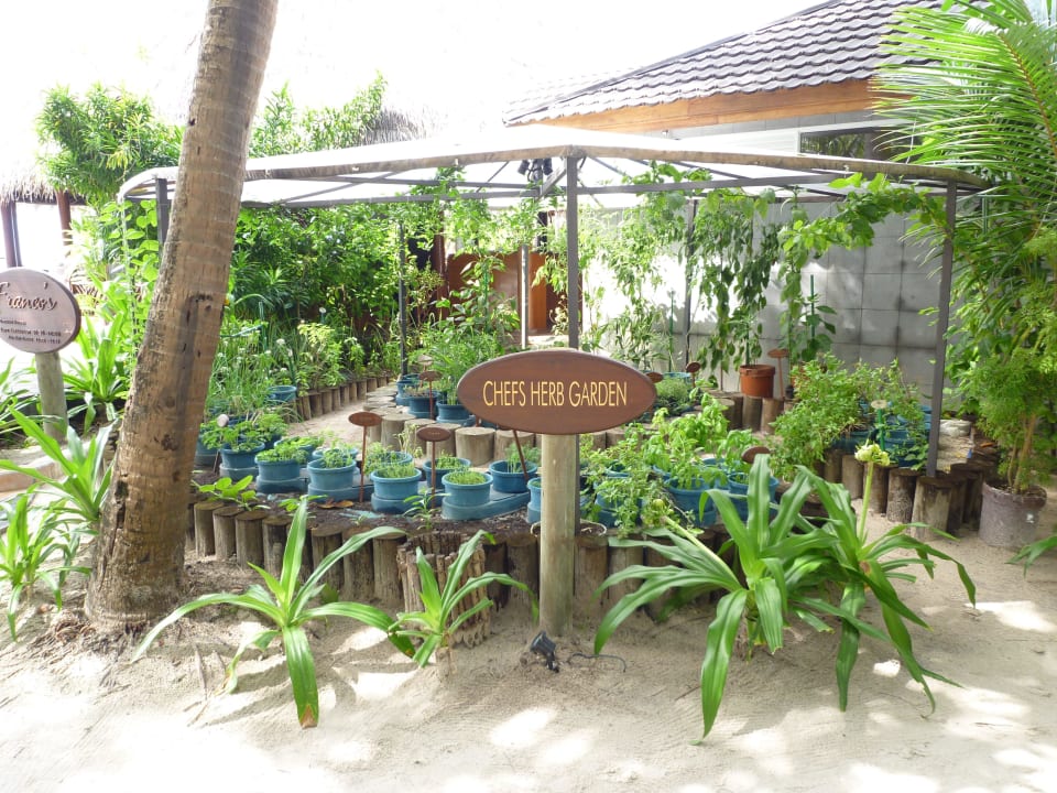 Kräutergarten Kuredu Island Resort & Spa