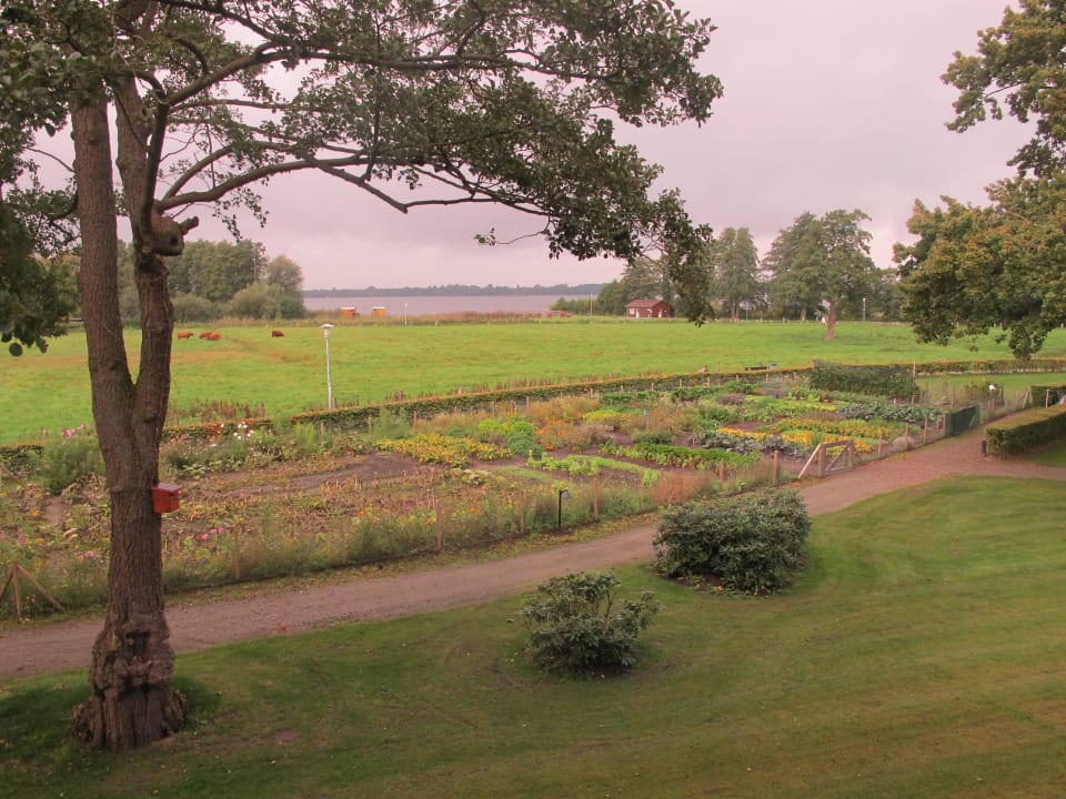 Auf den See Romantik Hotel Jagdhaus Eiden am See