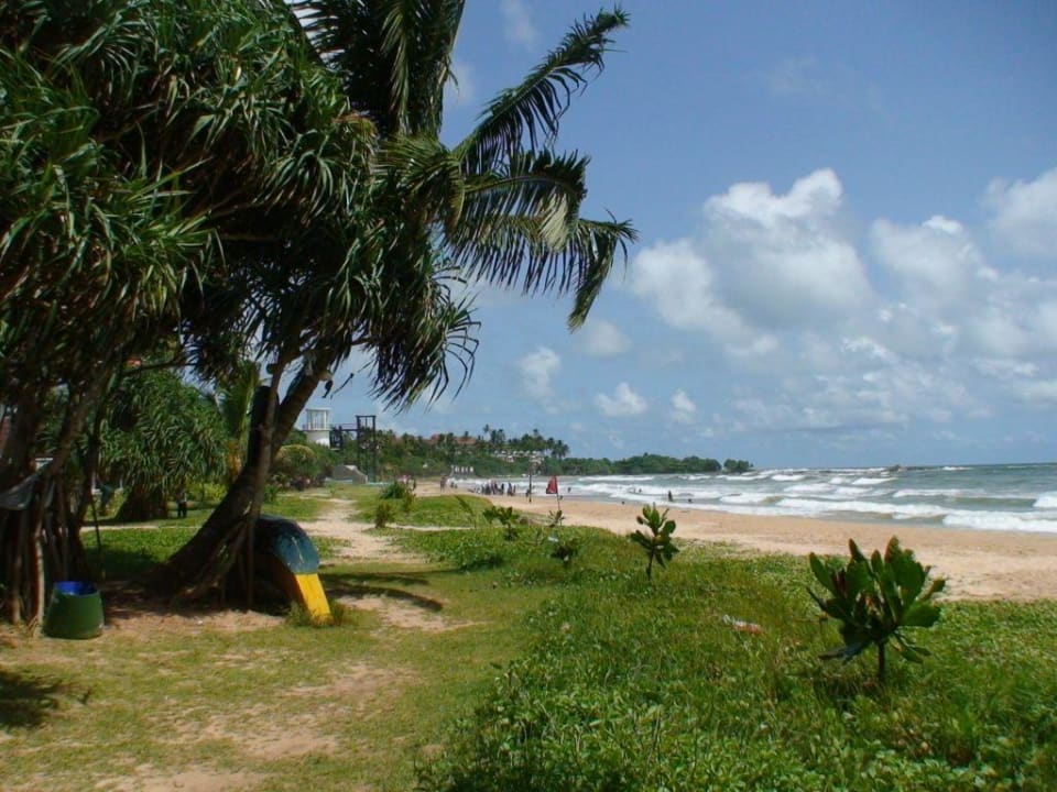 Blick auf den herrlichen Strand Thaala Bentota