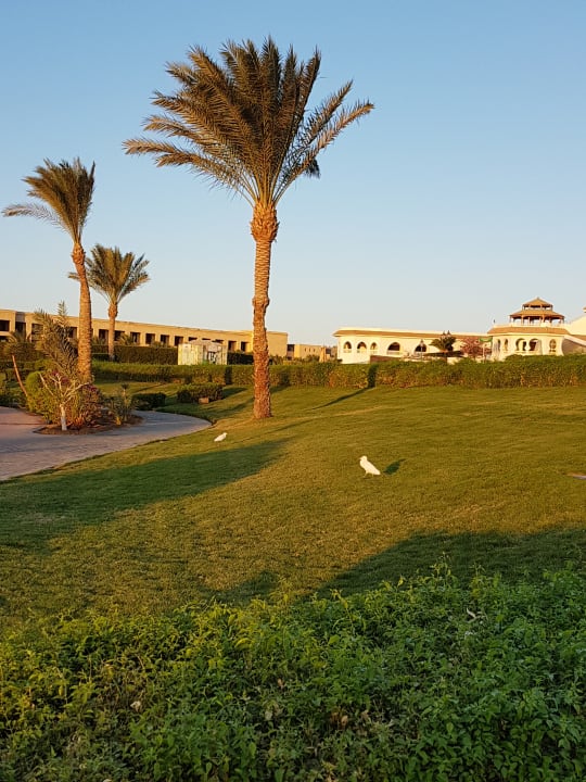 Gartenanlage Old Palace Resort
