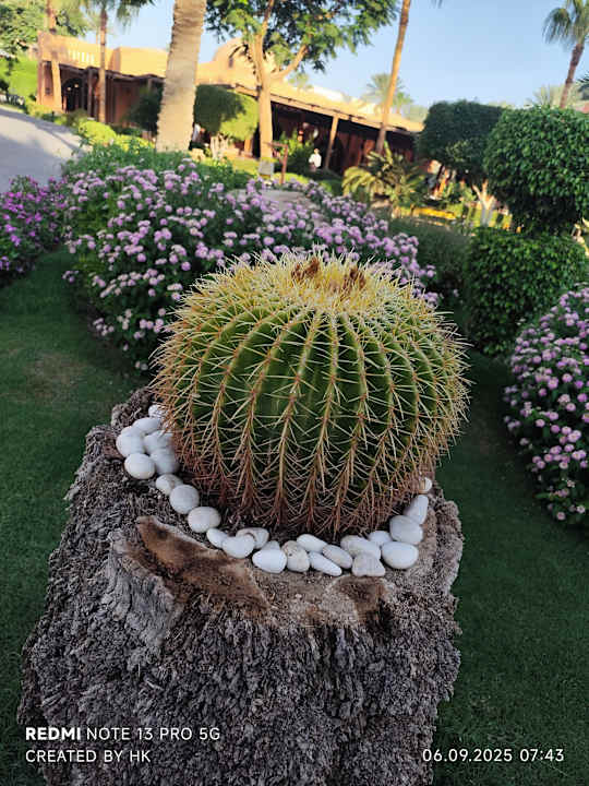 Gartenanlage Jaz Makadi Oasis Resort