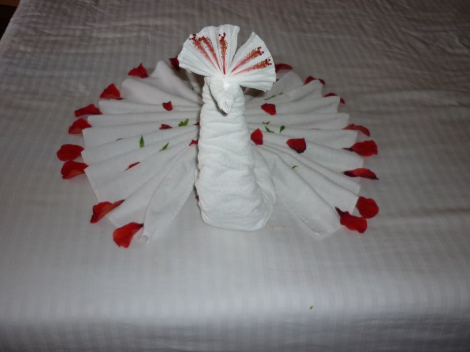 Schwan da unsere Tochter geweint hat Beach Albatros Resort