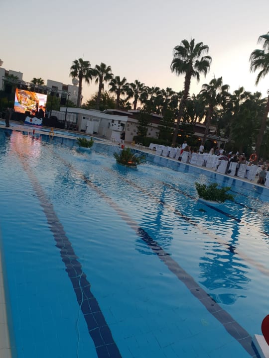 Pool Hane Family Resort