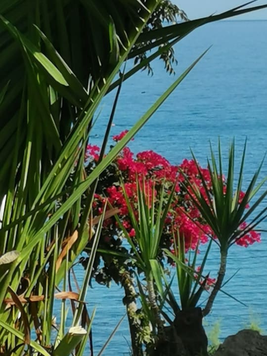 Ausblick Crystal Springs Beach Hotel