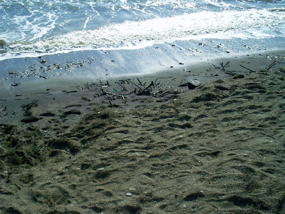 Strand Palmeras Beach Hotel