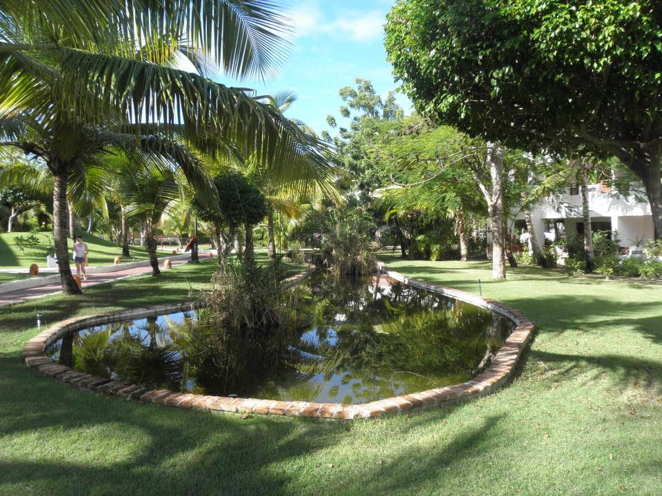 Hotel Occidental Grand Flamenco Punta Cana Occidental Punta Cana