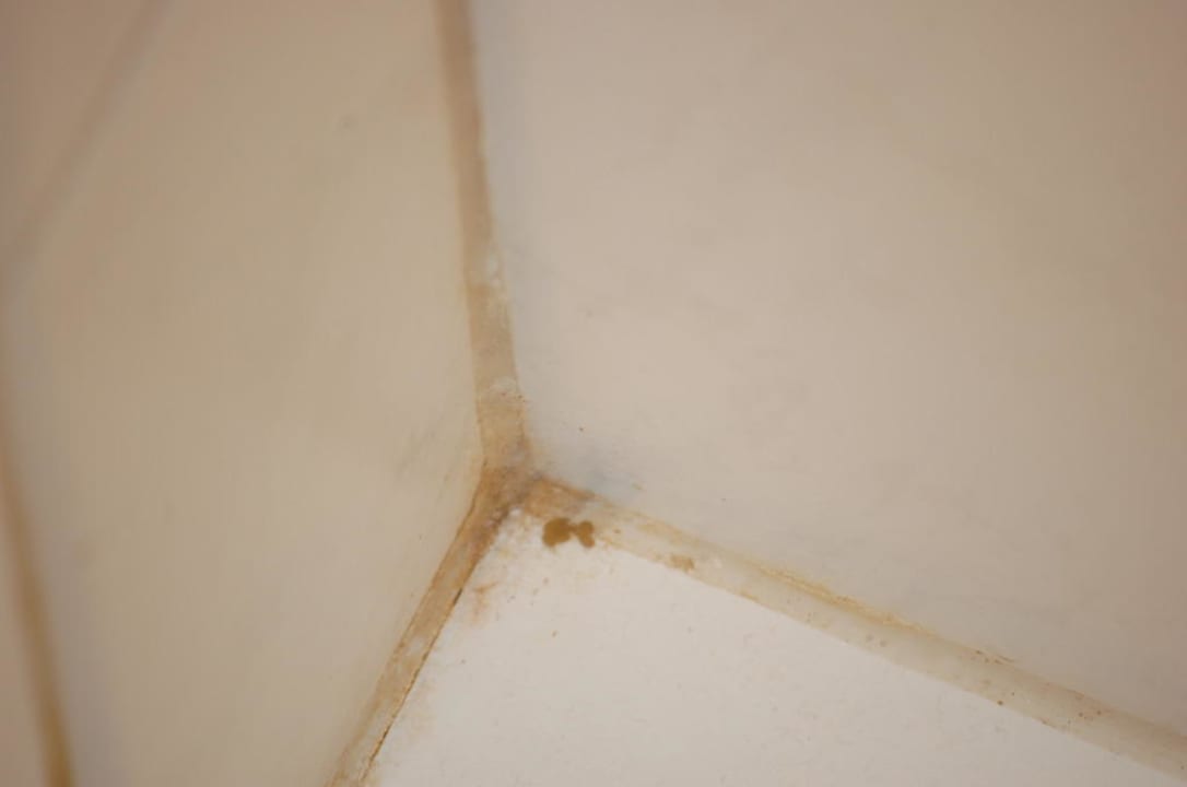 Bad Nereus Park Hotel