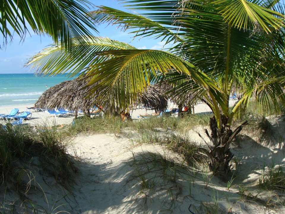 Strand Melia Las Antillas - Adults only