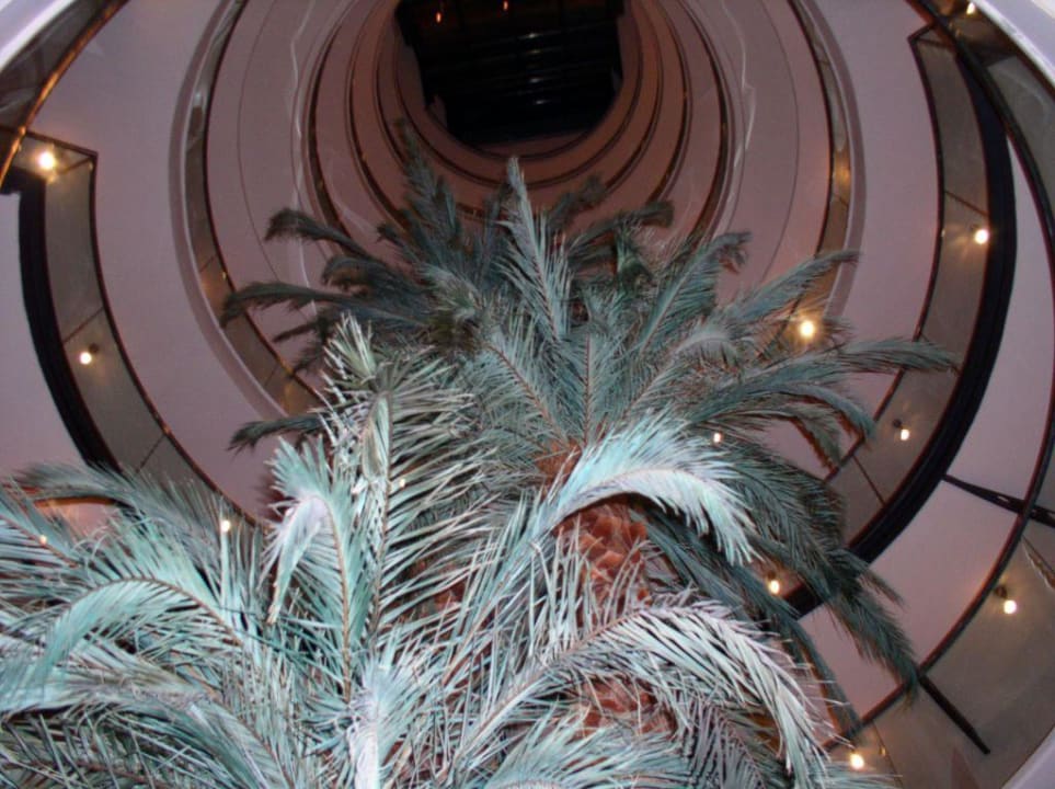 Palme im Innenbereich des Hotels Limak Limra Hotel & Resort